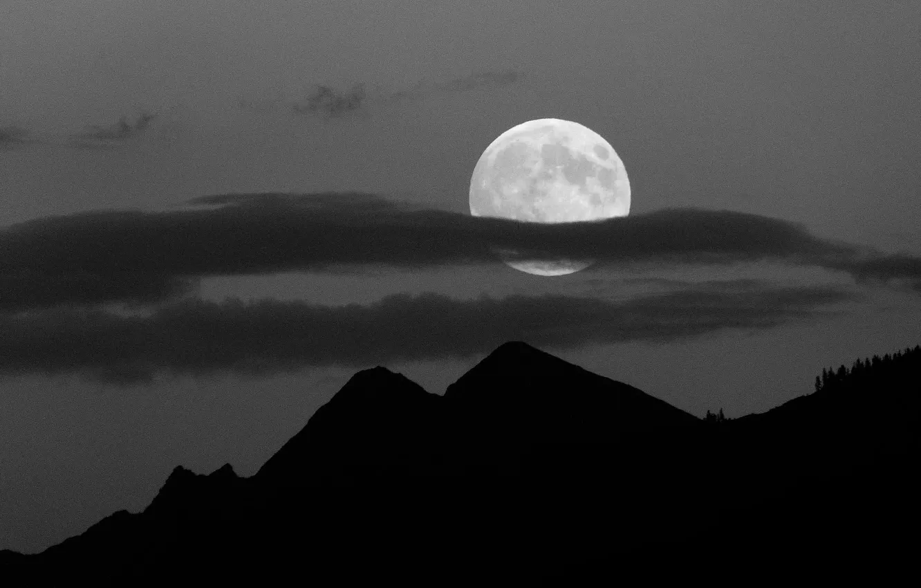 Photo wallpaper the sky, clouds, trees, mountains, night, nature, the moon, the full moon