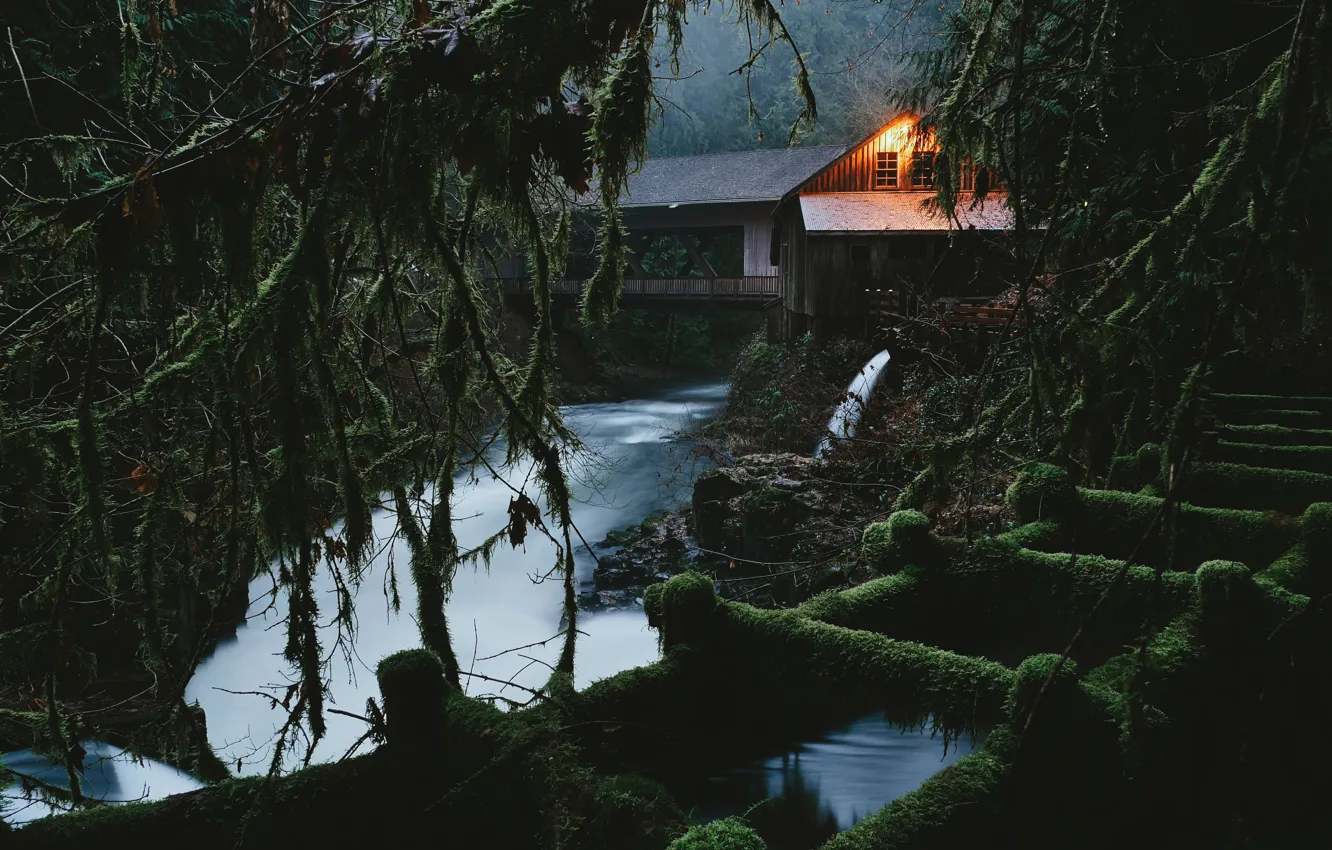Photo wallpaper forest, landscape, bridge, nature, house, river, twilight