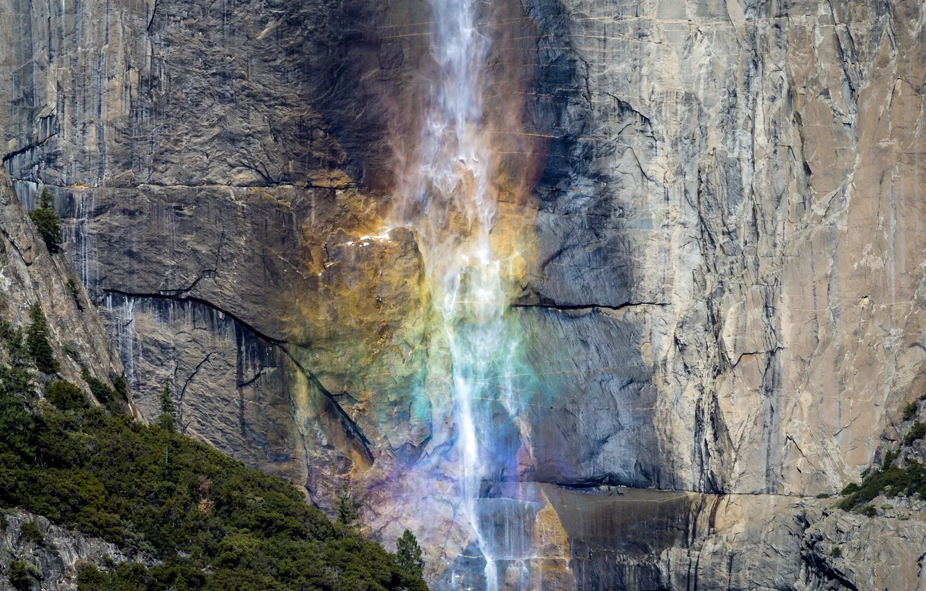 Photo wallpaper forest, trees, landscape, mountains, nature, rocks, plant, waterfall