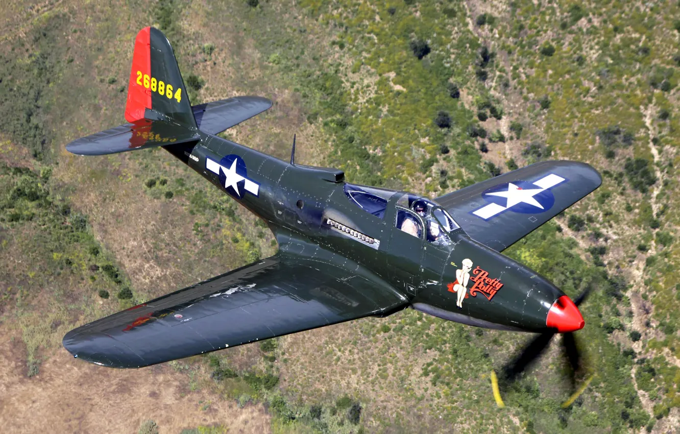 Photo wallpaper flight, retro, the plane, landscape, fighter, pilot, P-63