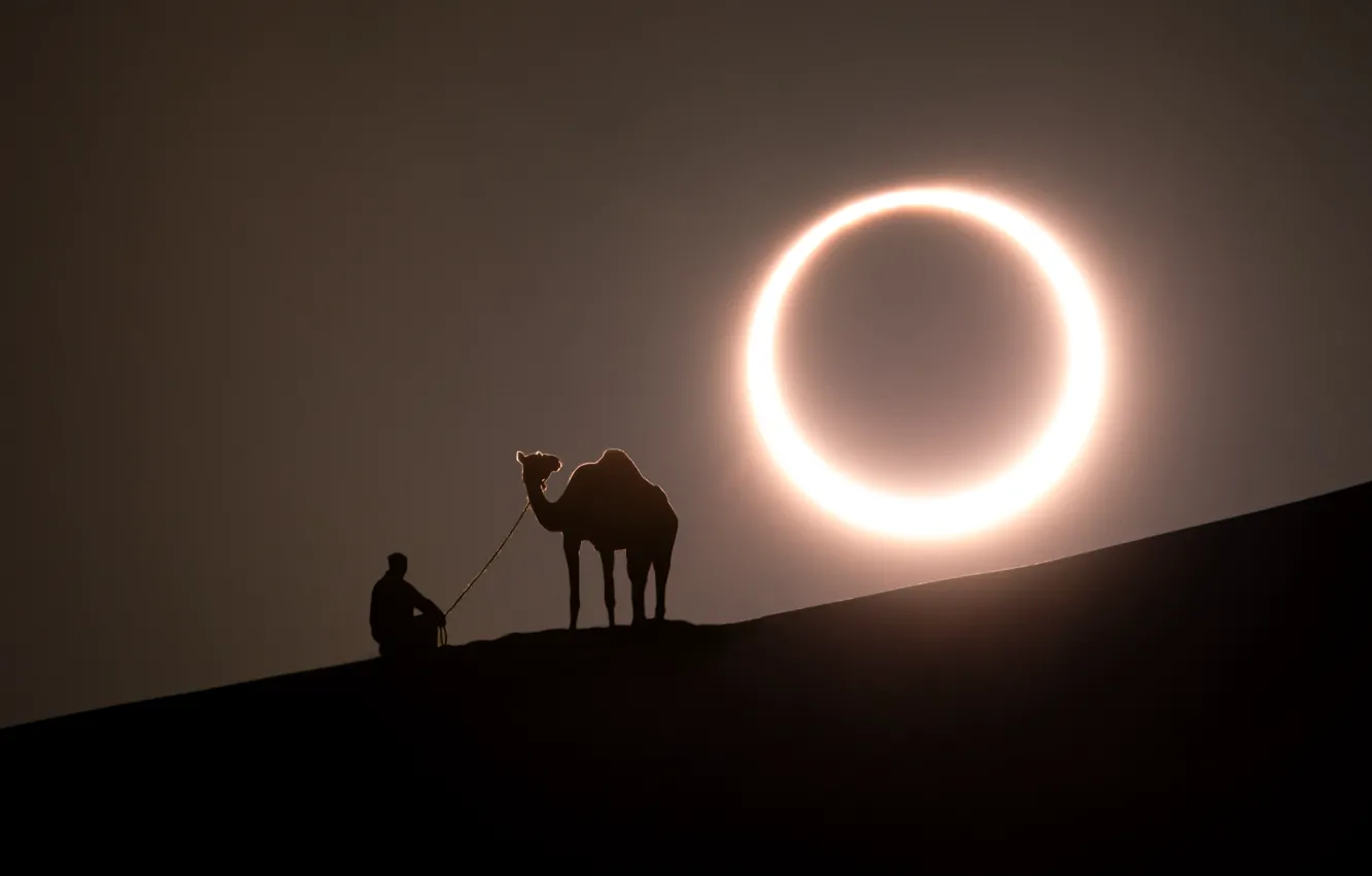 Photo wallpaper man, camel, solar eclipse