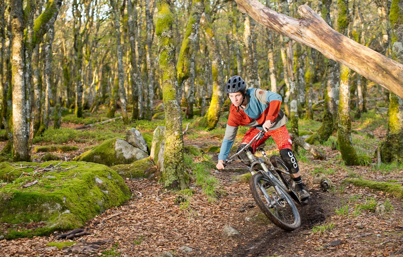 Photo wallpaper bike, race, sport