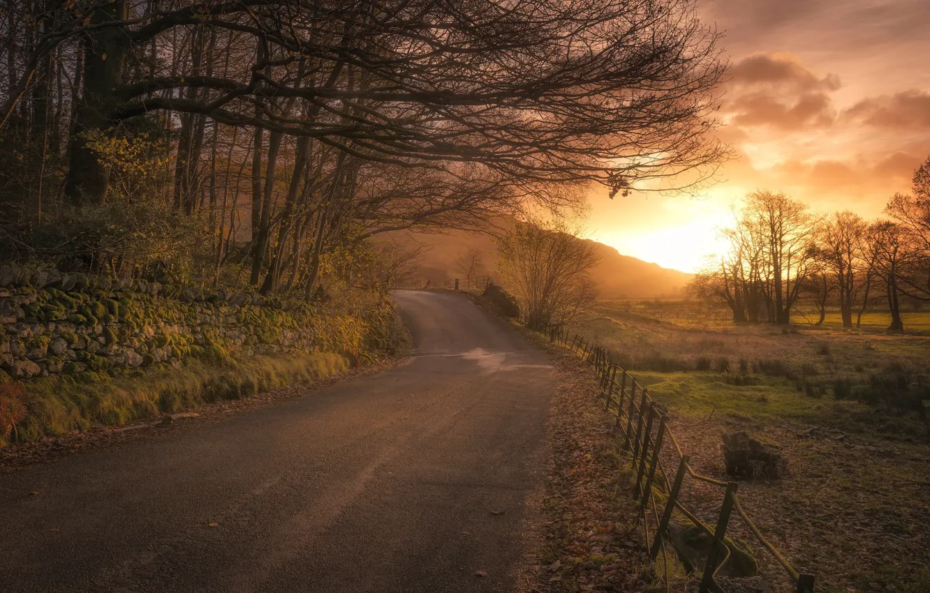 Photo wallpaper road, sunset, nature