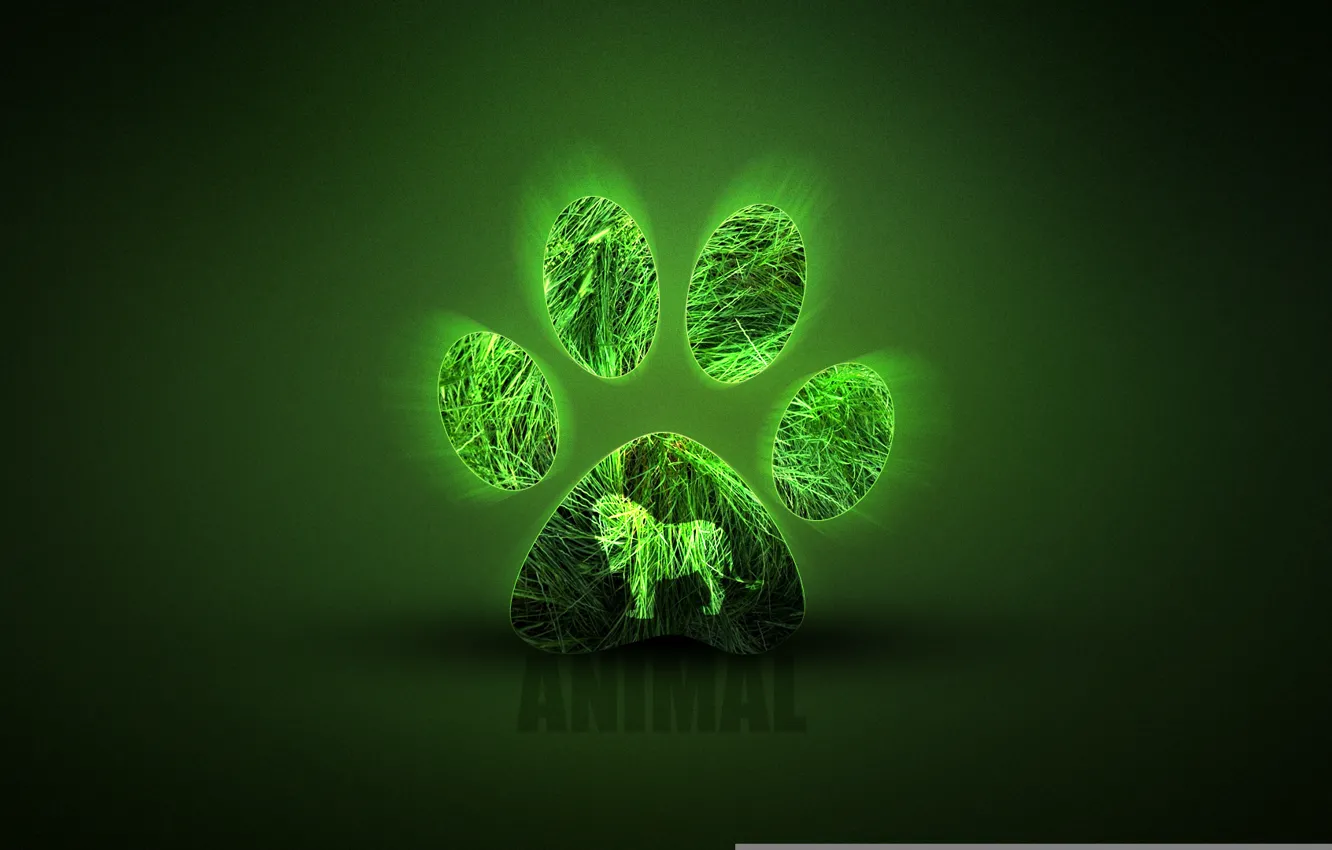 Photo wallpaper animal, texture, texture, animal