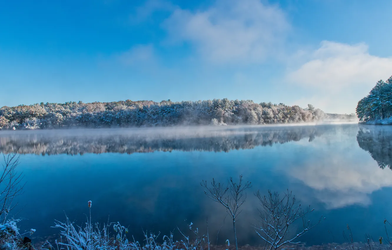 Photo wallpaper winter, frost, forest, clouds, snow, branches, fog, lake