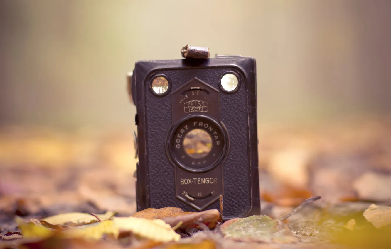 Photo wallpaper leaves, retro, focus, the camera, the camera