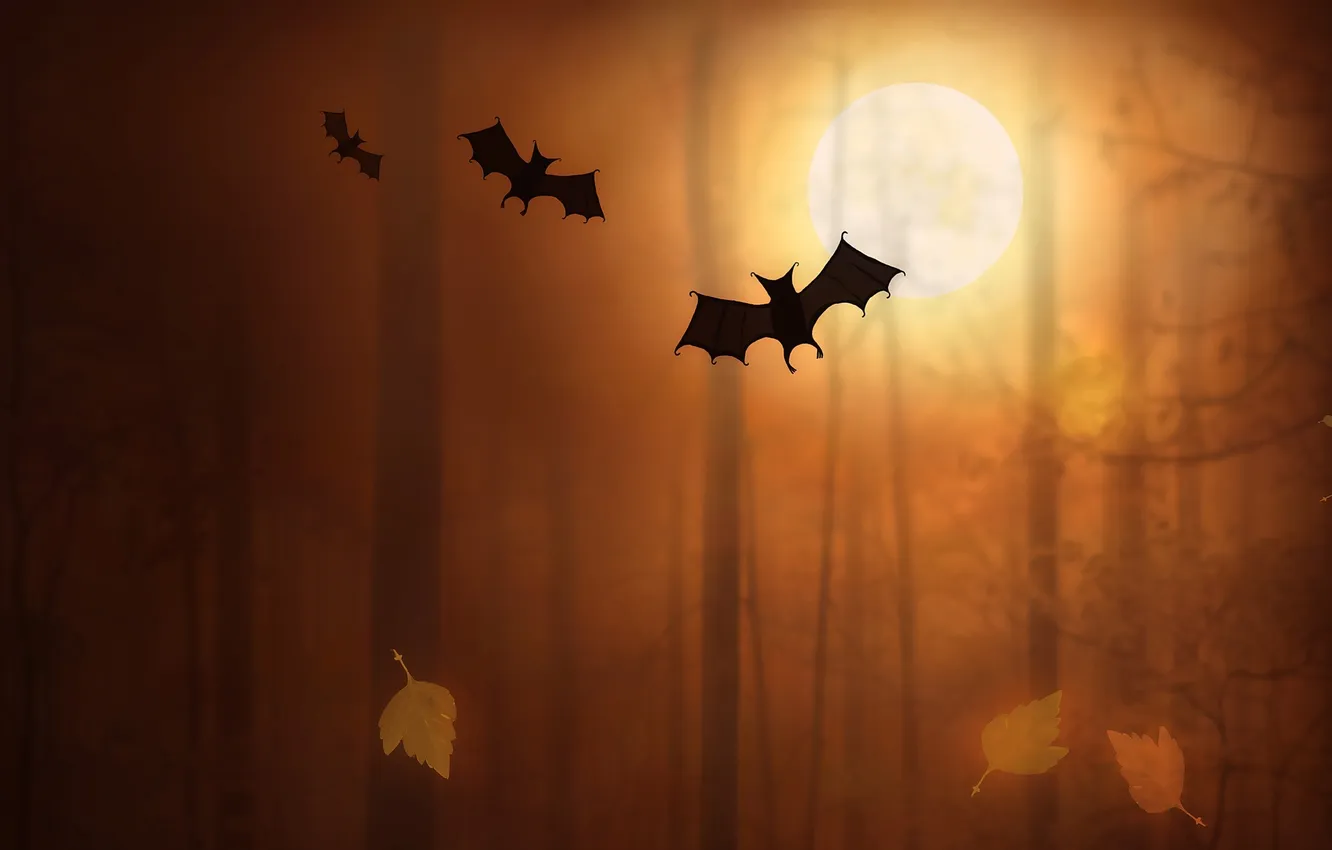 Photo wallpaper forest, trees, birds, Wallpaper, bat, bats