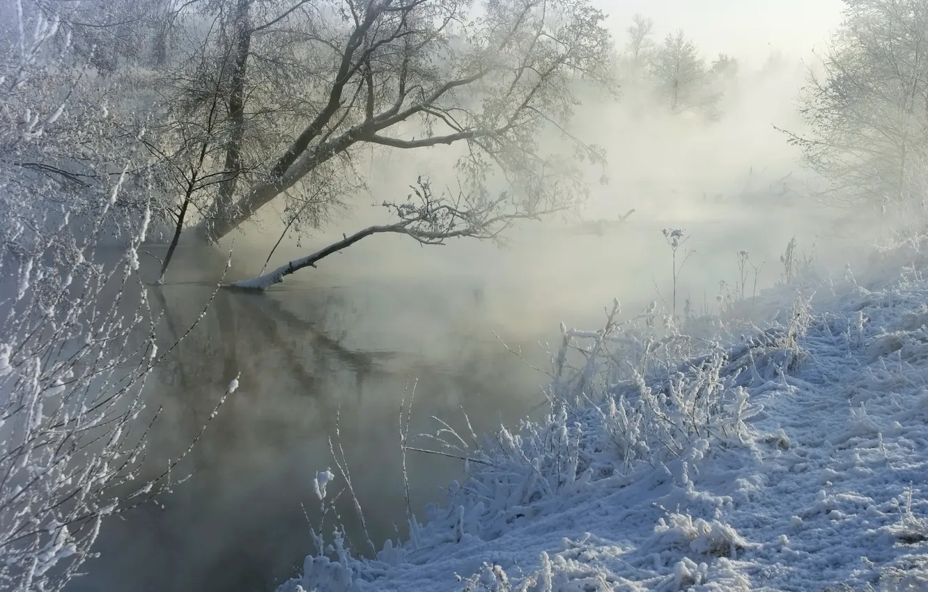 Photo wallpaper winter, snow, fog, river