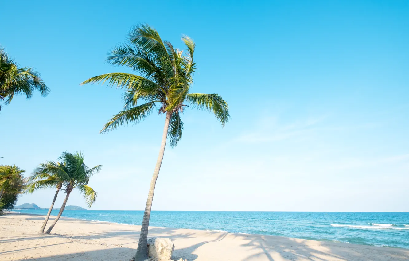 Photo wallpaper sand, sea, wave, beach, summer, the sky, palm trees, shore