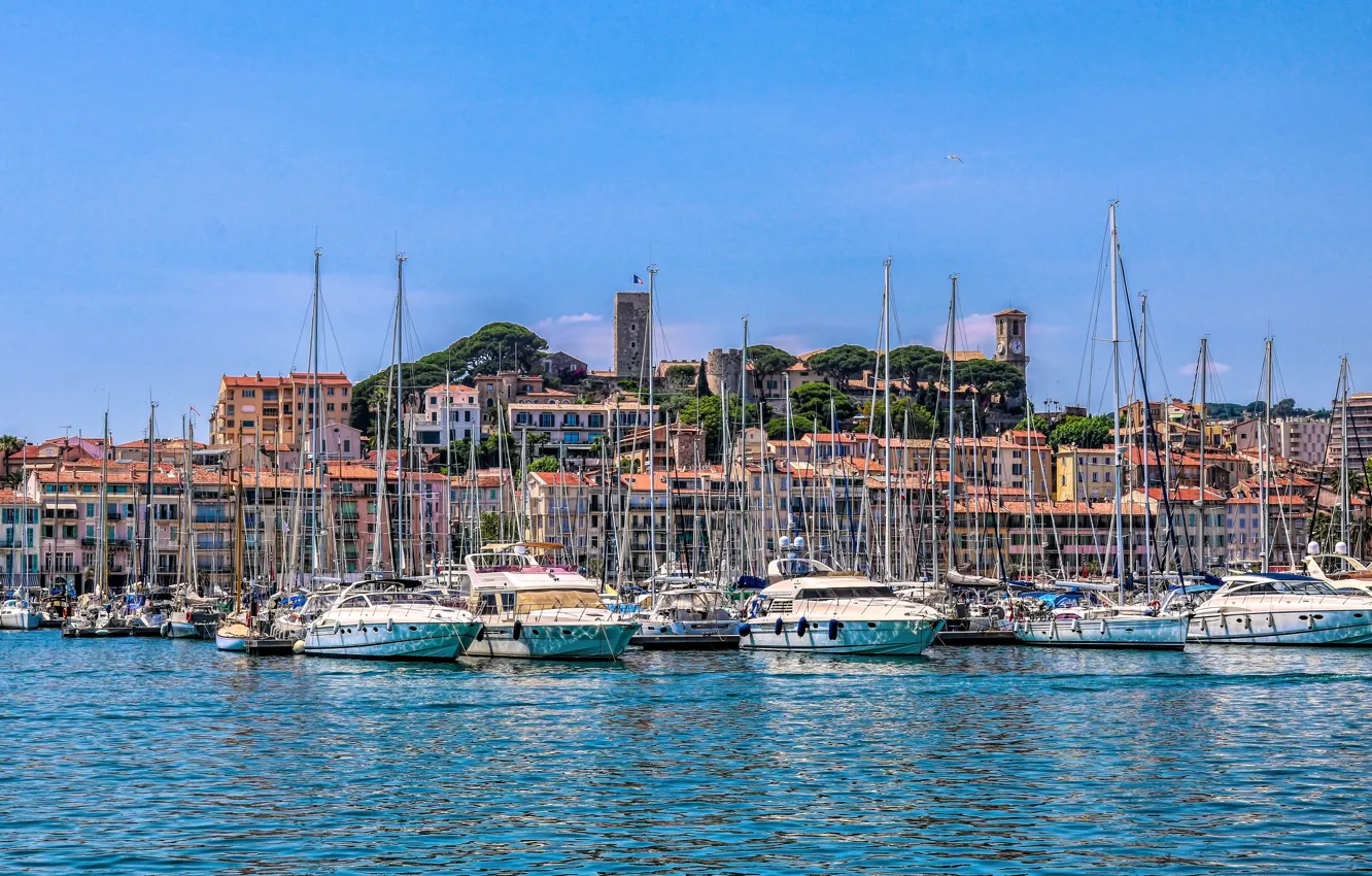 Photo wallpaper yachts, France, Cannes, Cannes