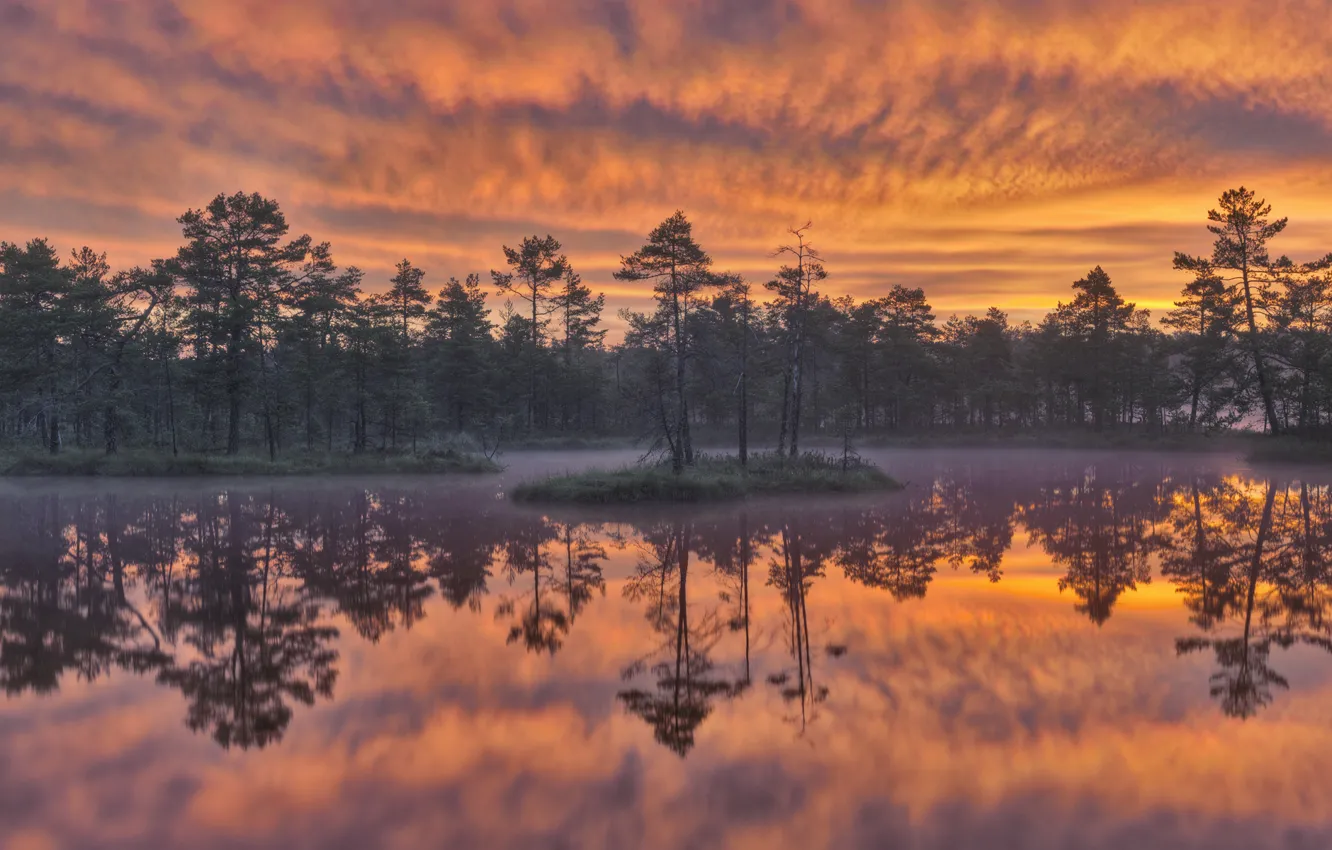 Photo wallpaper trees, sunset, lake, reflection, Sweden, Sweden, Dawn, Knuthöjdsmossen Wetland