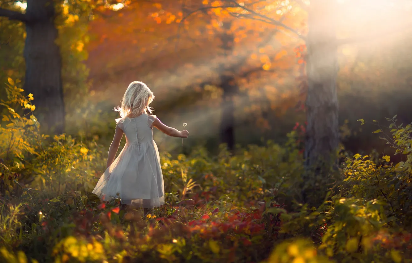 Photo wallpaper autumn, forest, nature, dandelion, girl