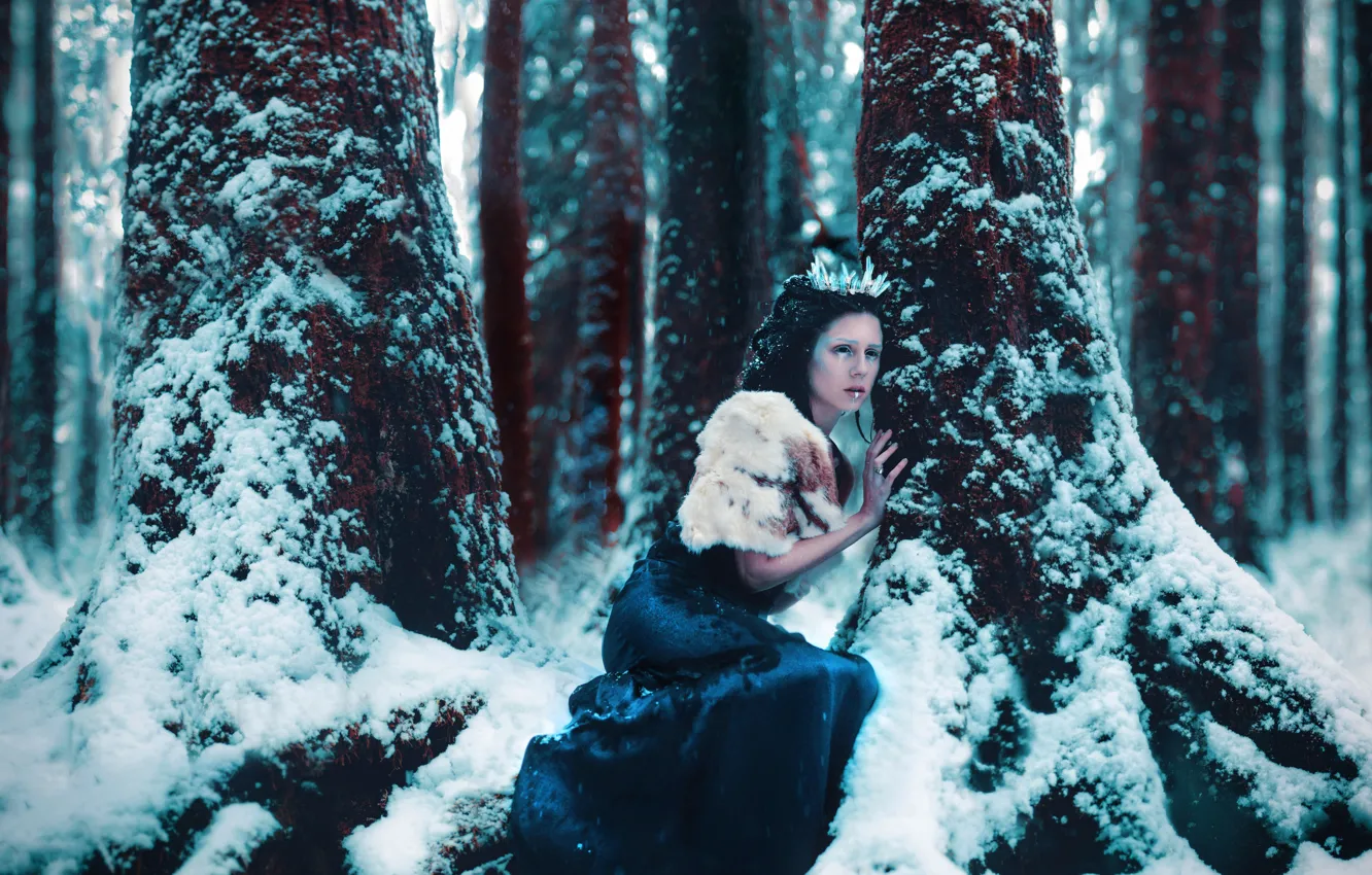 Photo wallpaper winter, forest, girl, snow, trees, pose, style, fantasy