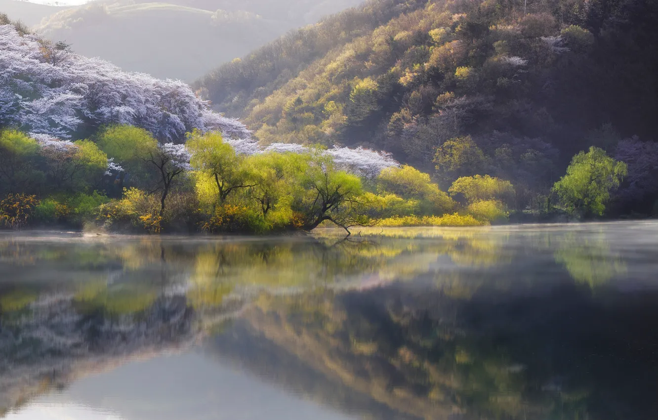 Photo wallpaper nature, lake, river, spring, Japan
