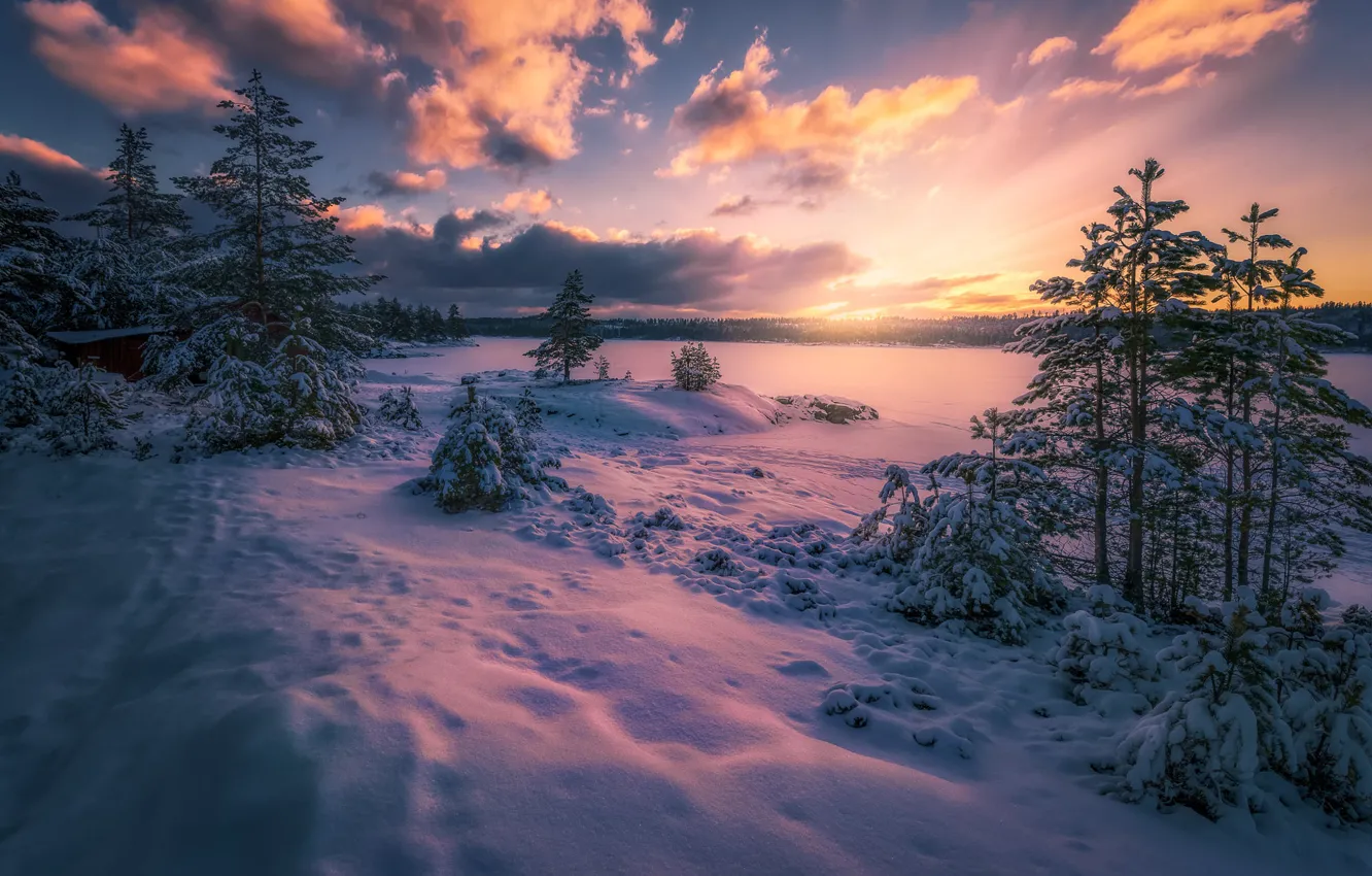 Photo wallpaper snow, Norway, Norway, Ringerike