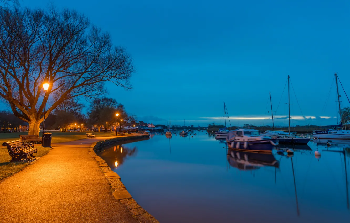 Photo wallpaper trees, lights, river, England, yachts, the evening, lights, benches