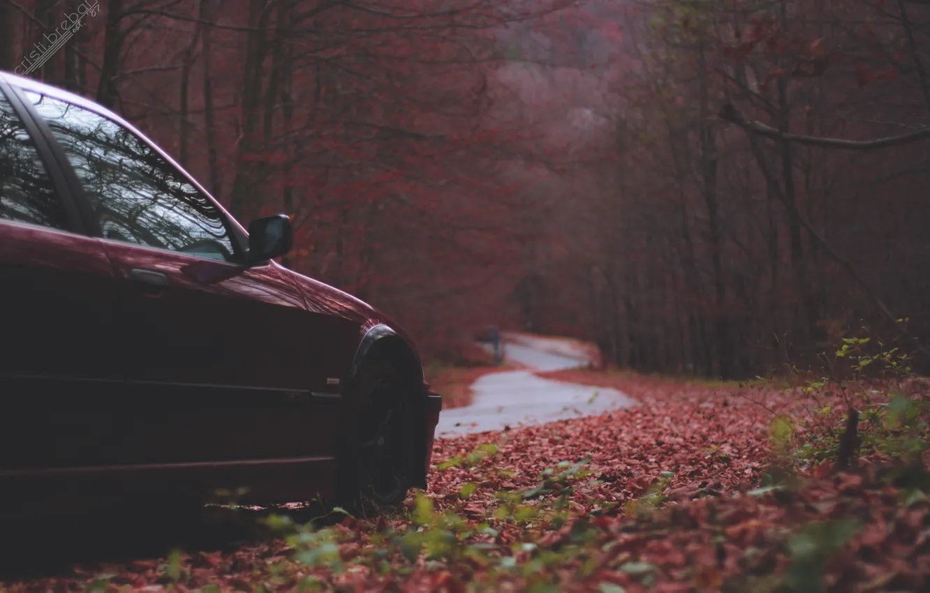 Photo wallpaper Autumn, BMW, BMW, Car, Autumn, E36