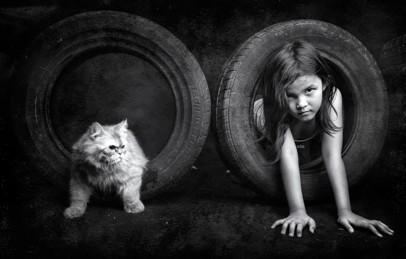 Photo wallpaper cat, tires, girl