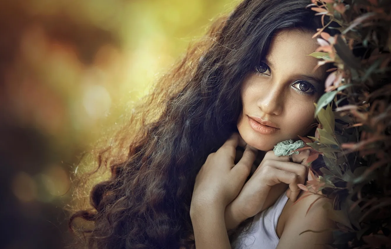 Photo wallpaper look, leaves, girl, branches, brunette, curls