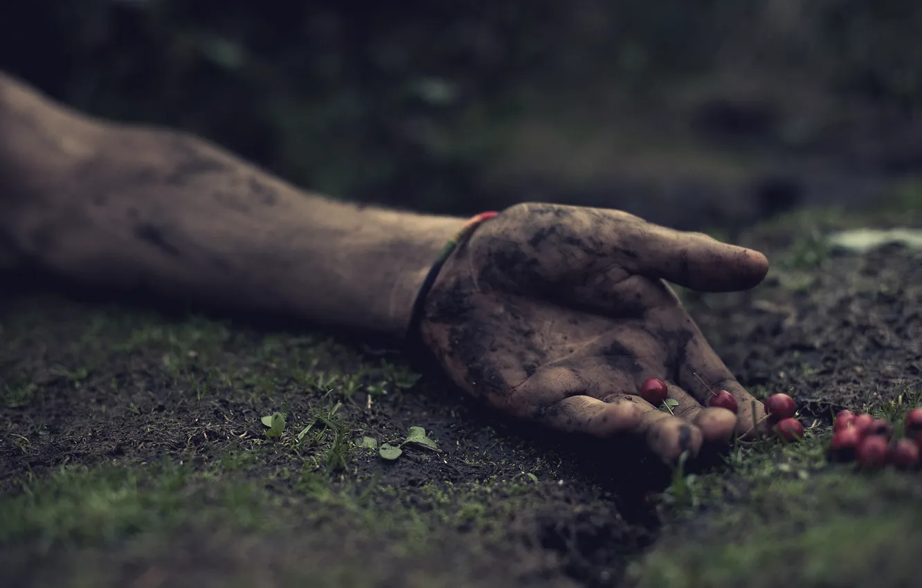 Photo wallpaper berries, hands, dirt