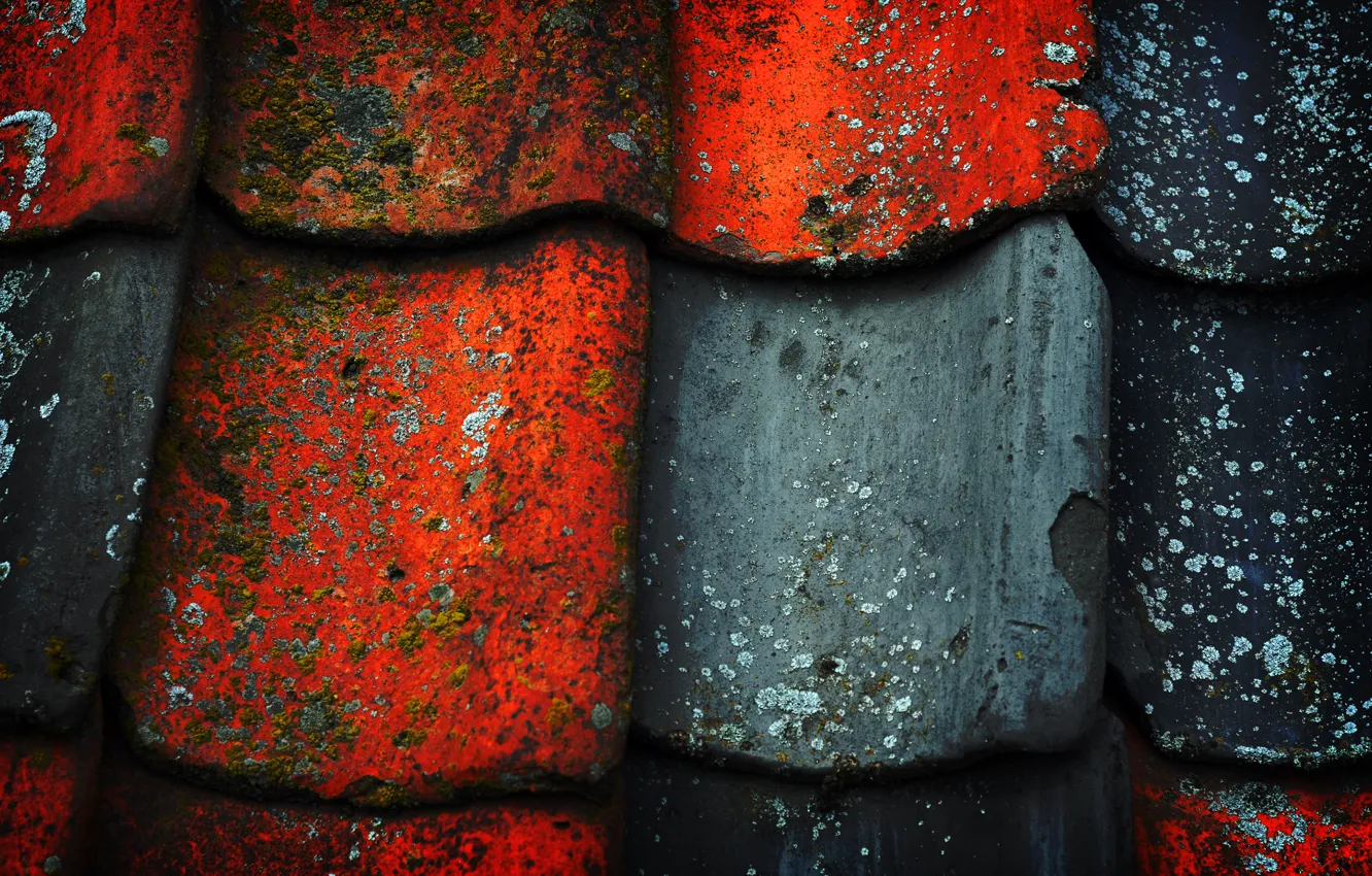 Photo wallpaper roof, paint, black, texture, red, old, mold, Tile