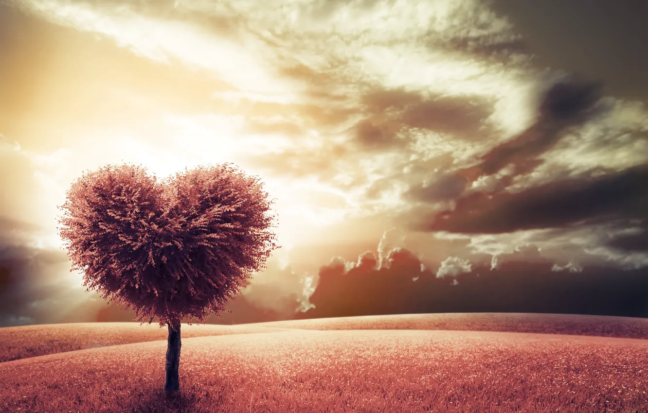 Photo wallpaper tree, heart, meadow