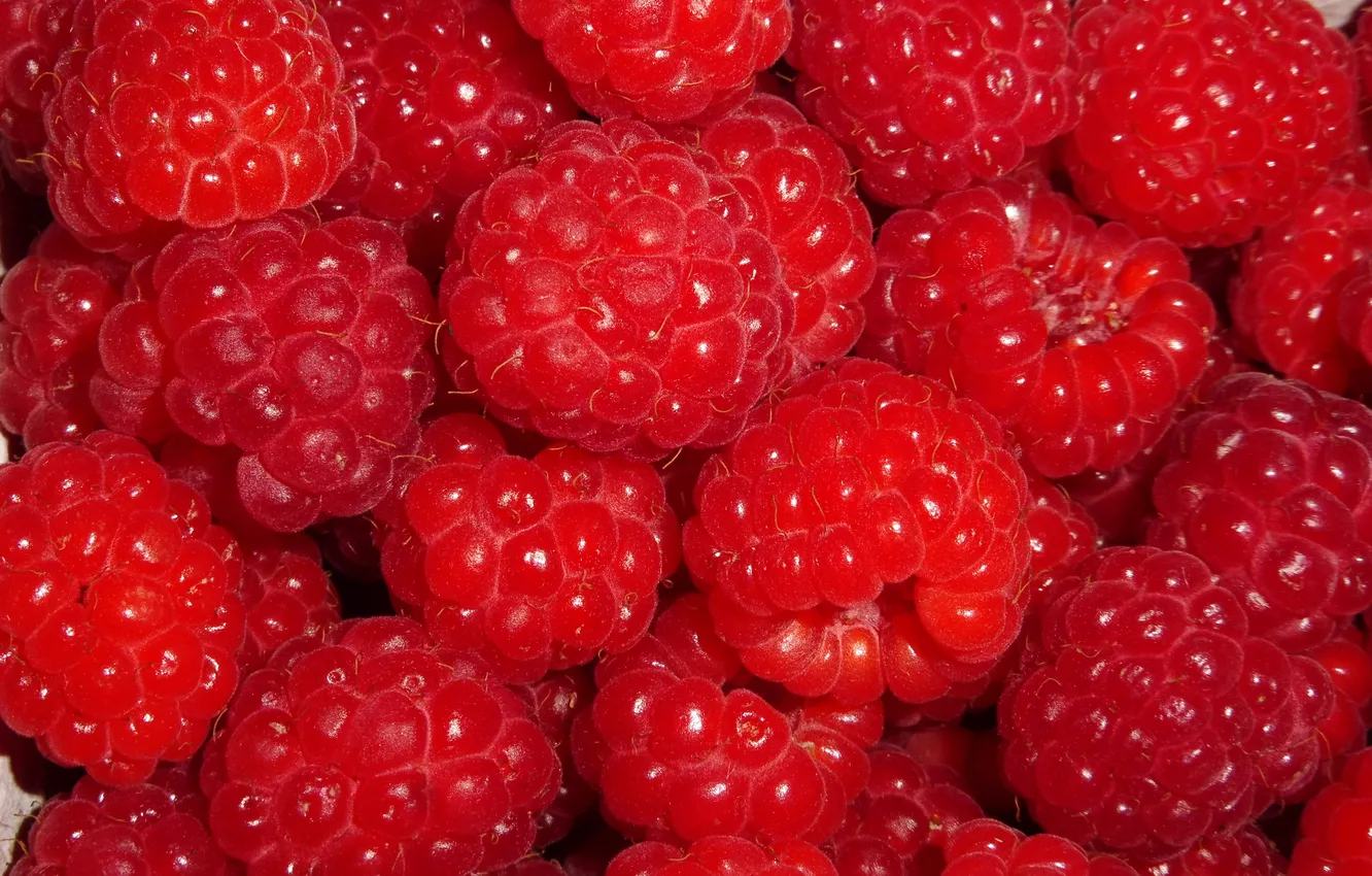 Photo wallpaper berries, raspberry, food, dessert