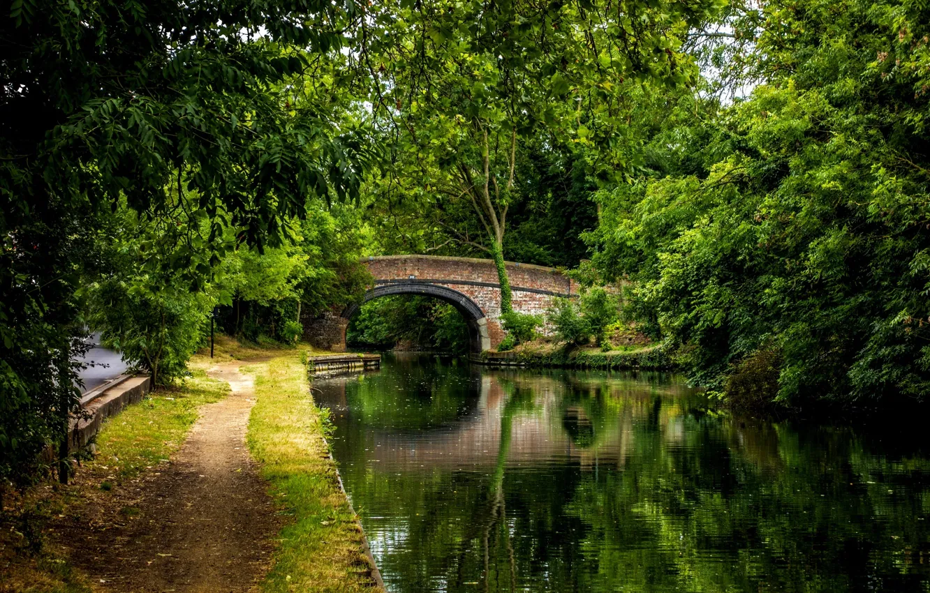 Photo wallpaper forest, water, trees, bridge, nature, Park, river, view