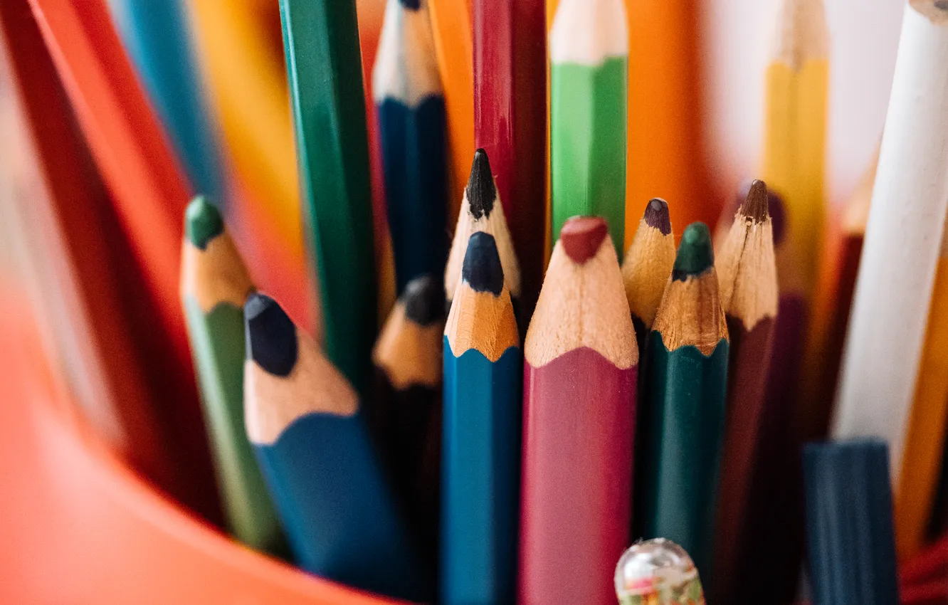 Photo wallpaper colors, variety, pencils