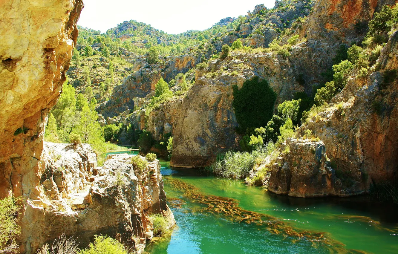 Photo wallpaper rock, river, rocks, Spain, Spain, trees., Basin