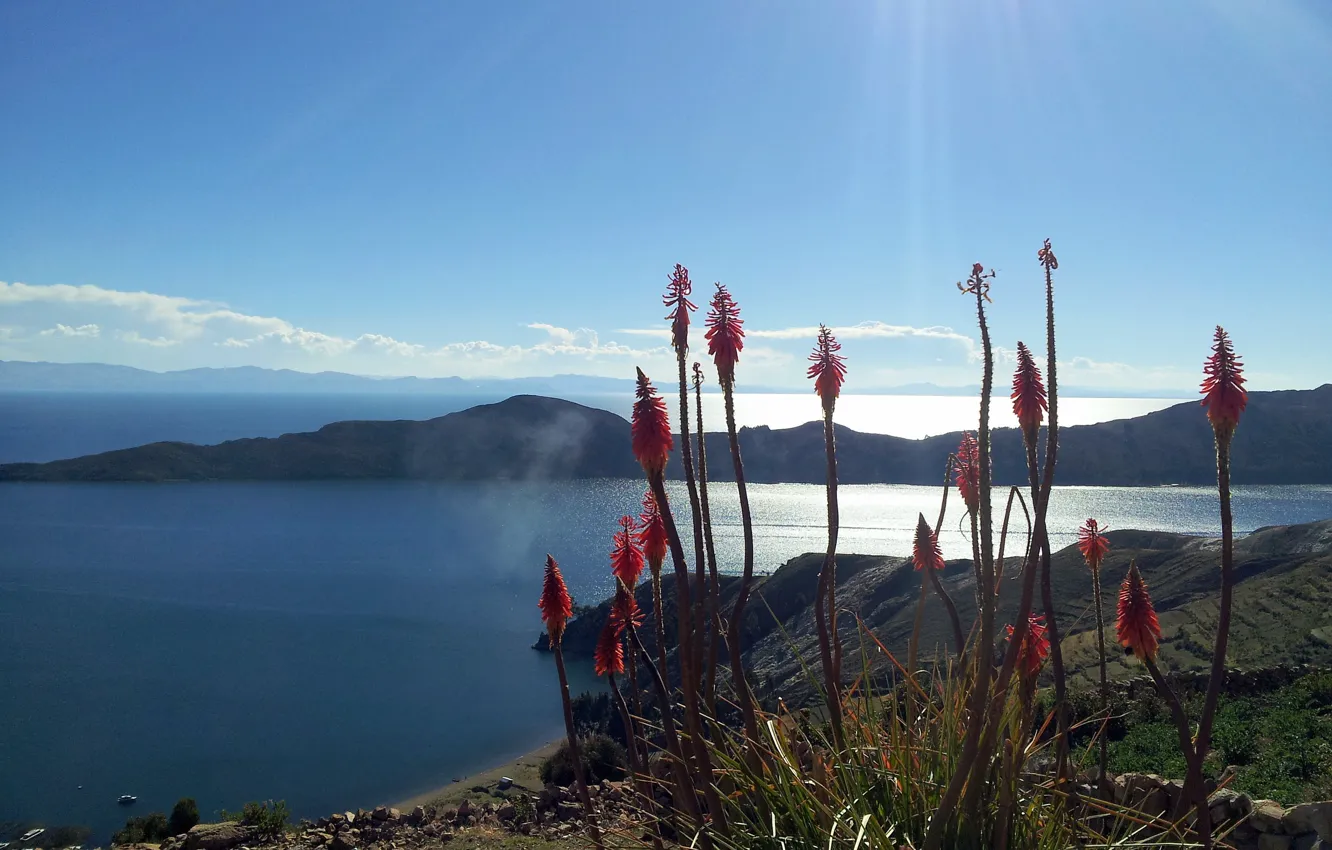 Photo wallpaper lake, shore, Bolivia, Titicaca