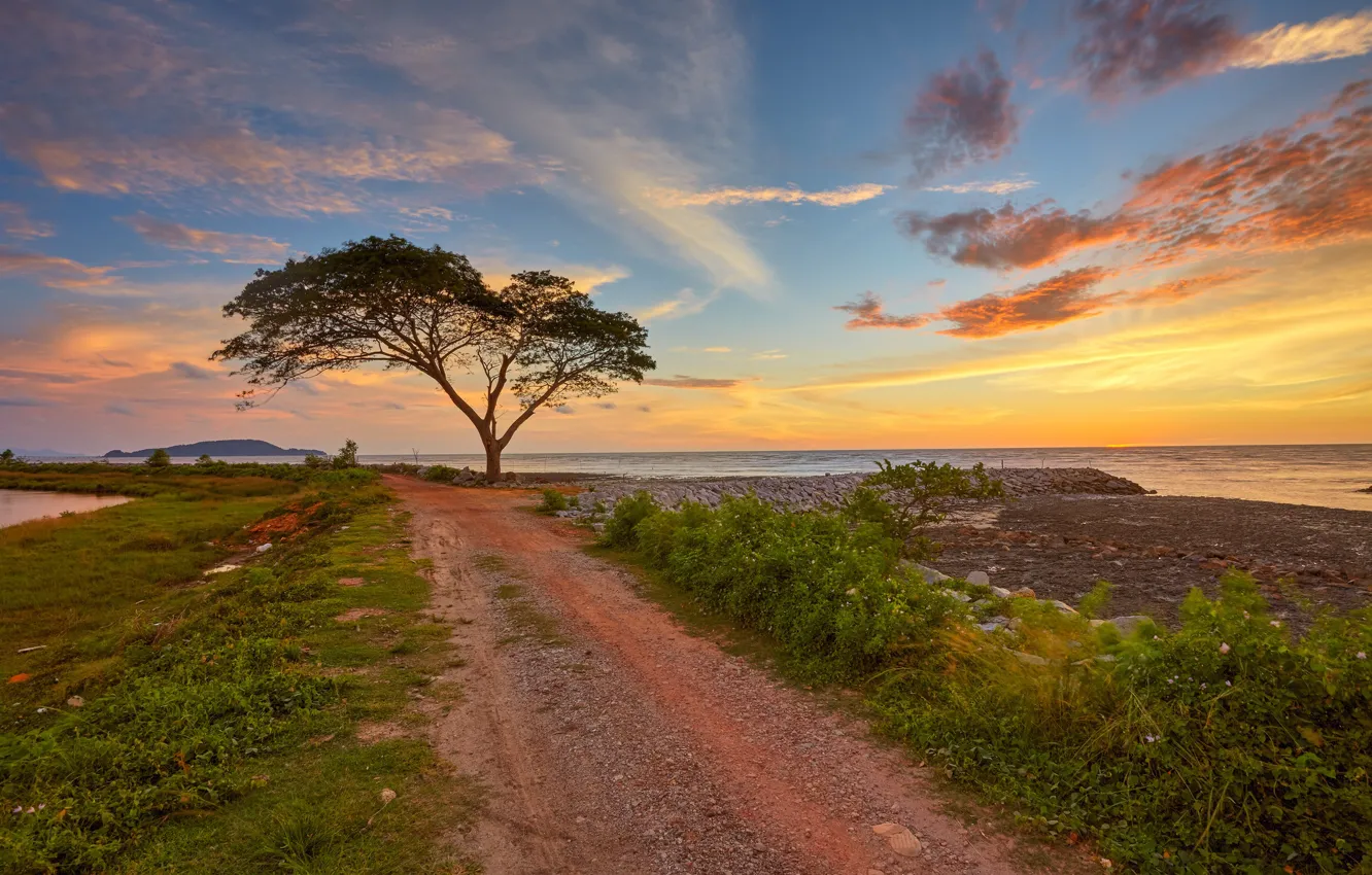 Photo wallpaper road, trees, sunset