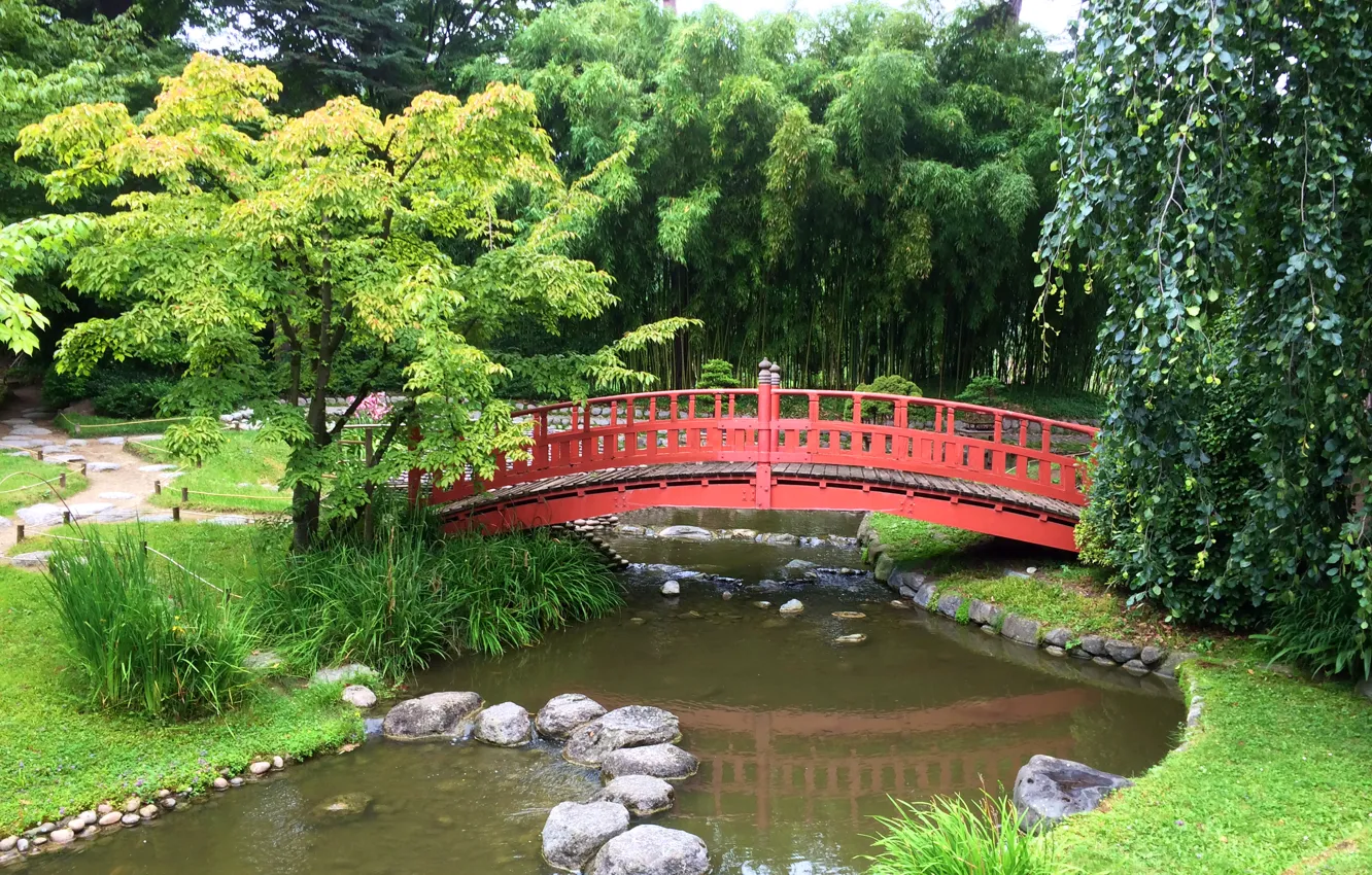 Photo wallpaper trees, bridge, pond, stones, France, Paris, garden, Japanese garden