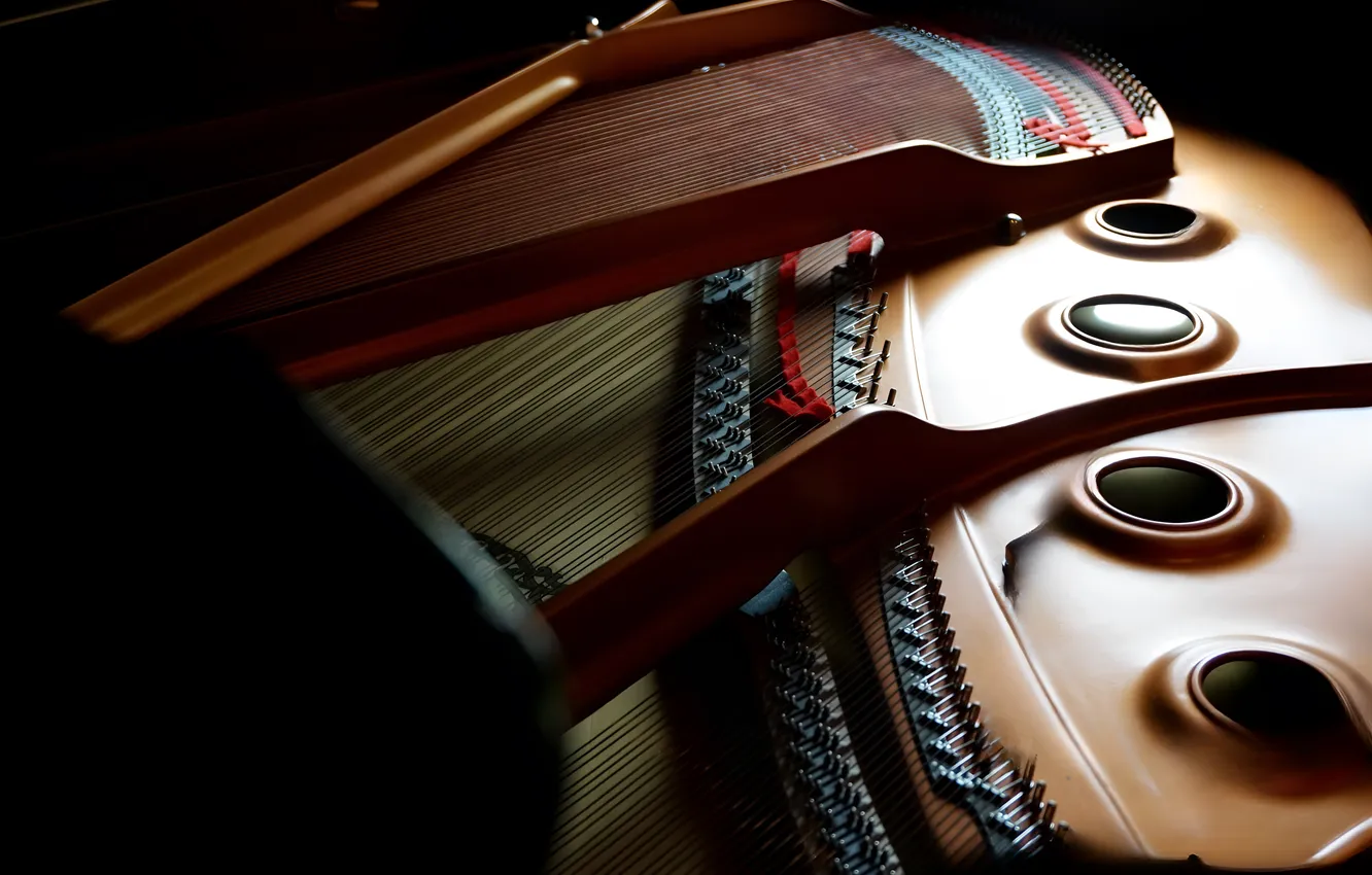 Photo wallpaper strings, tool, music