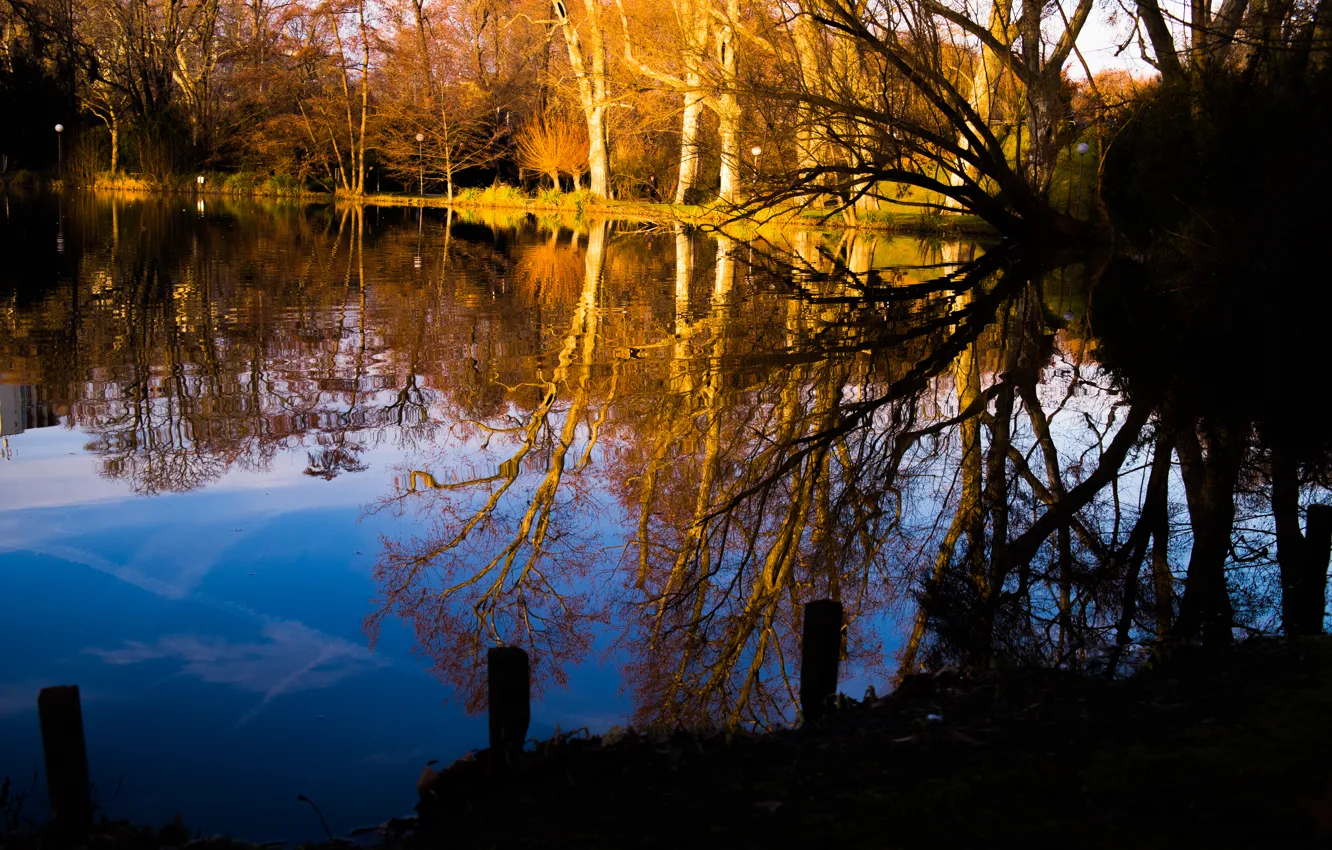 Photo wallpaper trees, water, park, winter, lake, reflection, Stuttgart, pond