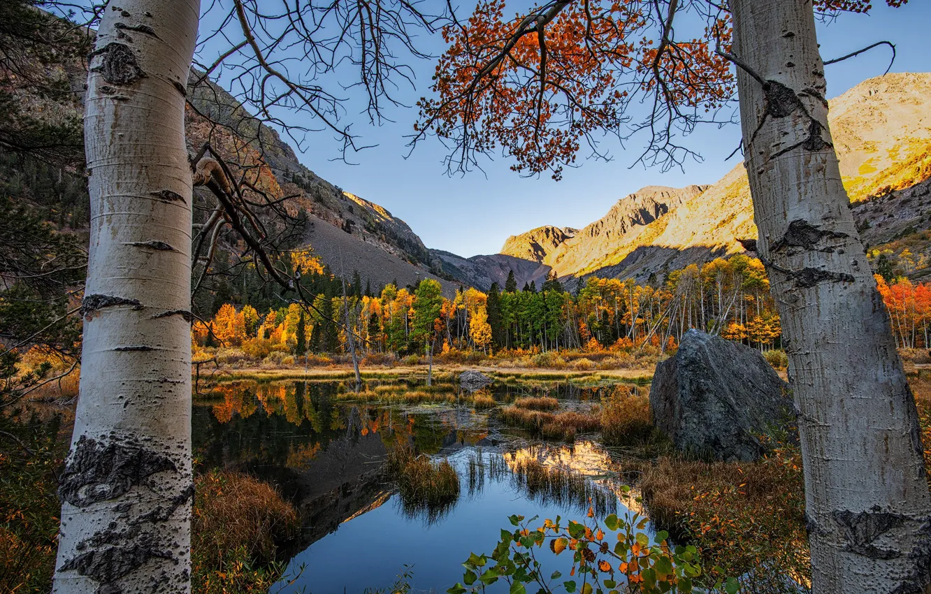 Photo wallpaper autumn, forest, reflection, trees, landscape, mountains, nature, CA