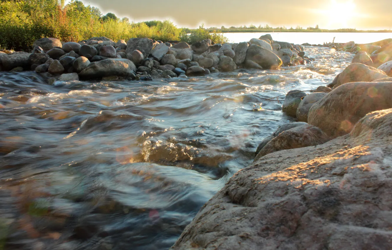 Photo wallpaper water, the sun, trees, river, stream, stones, photo, stream