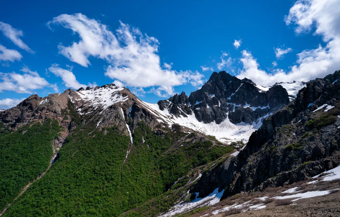 Photo wallpaper snow, landscape, mountains, Argentina, Patagonia