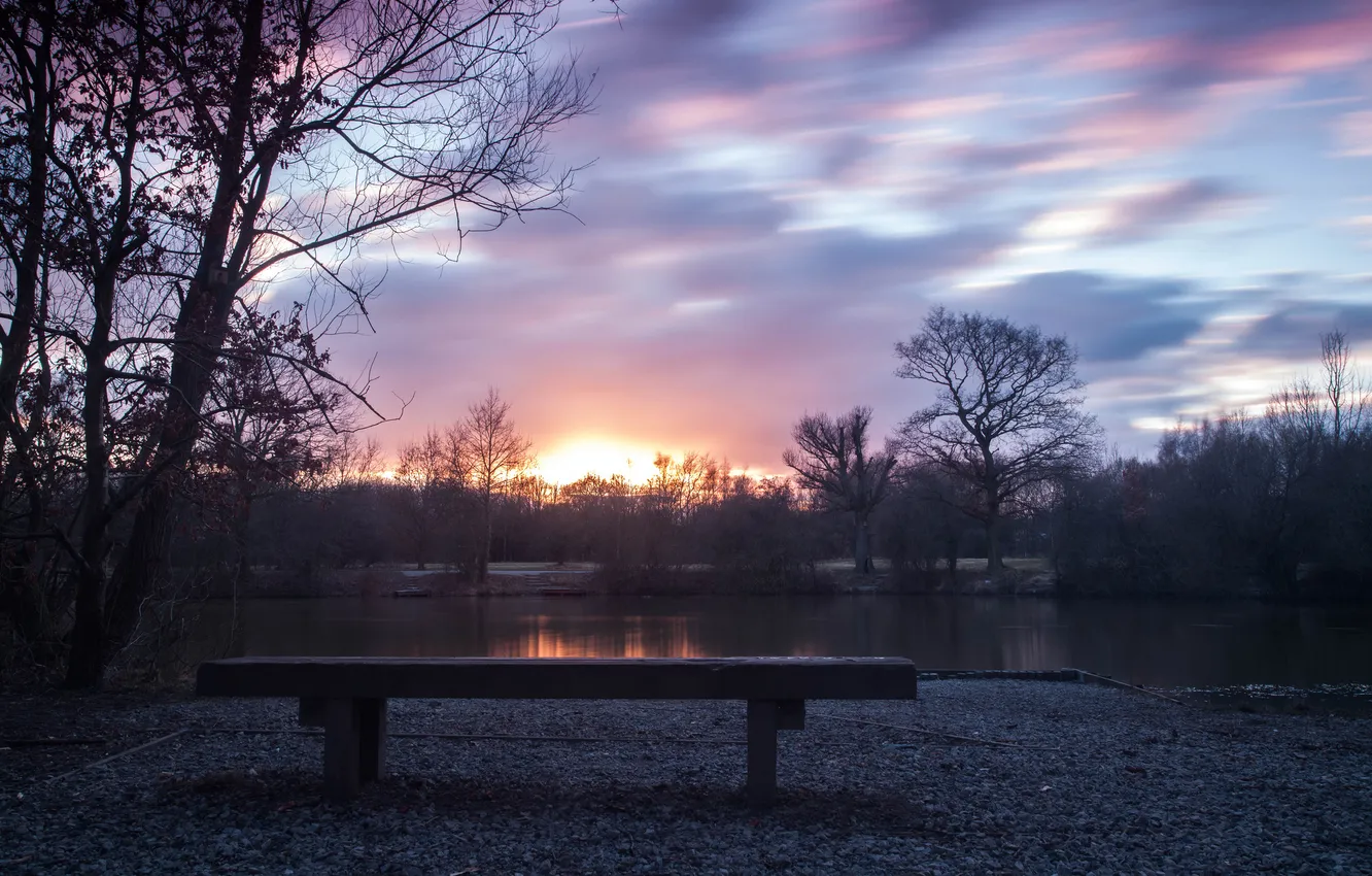 Photo wallpaper trees, bench, lake, Park