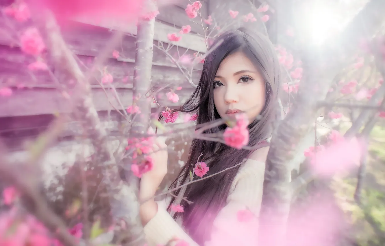 Photo wallpaper girl, spring, garden