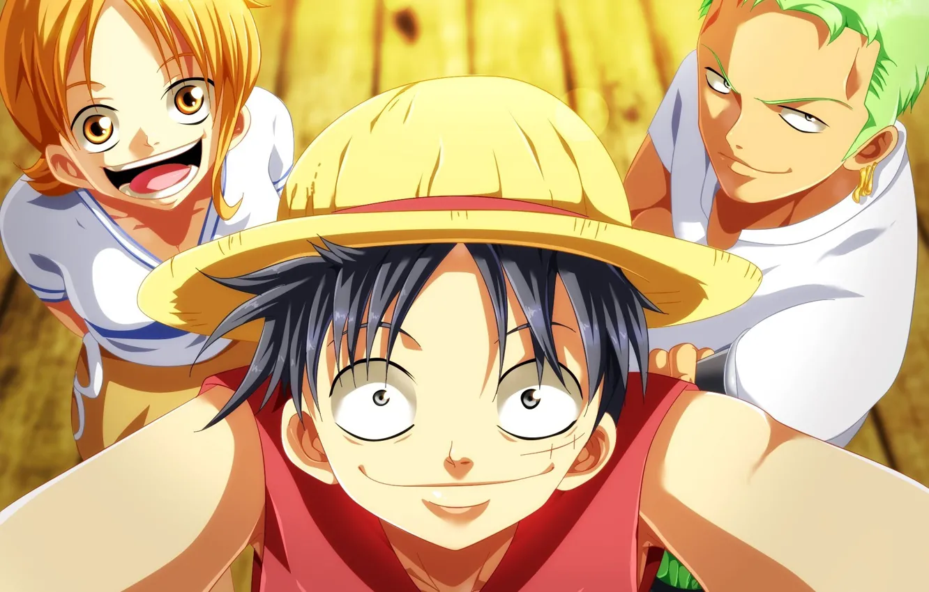 Photo wallpaper girl, game, One Piece, pirate, hat, smile, anime, man
