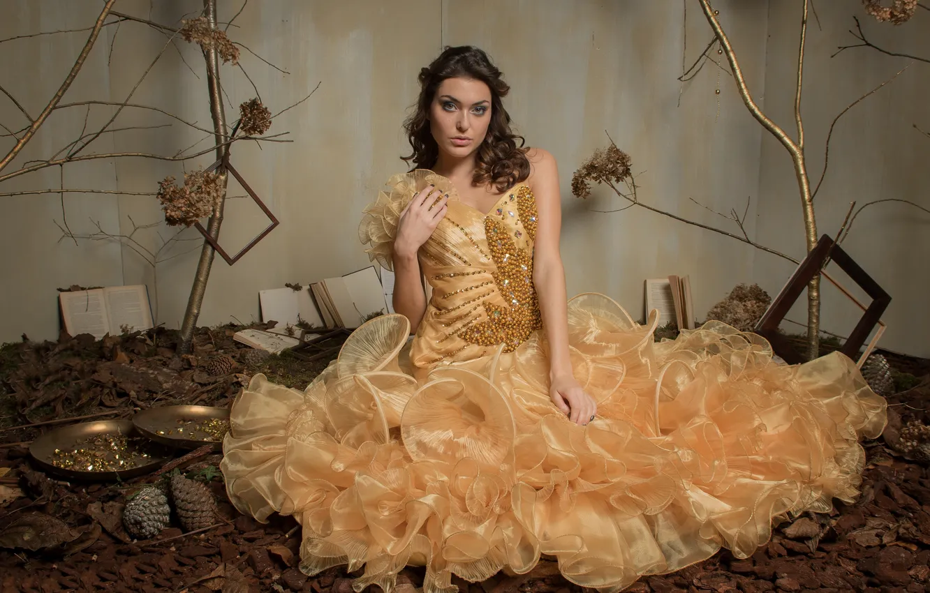 Photo wallpaper girl, dress, Studio, Yana