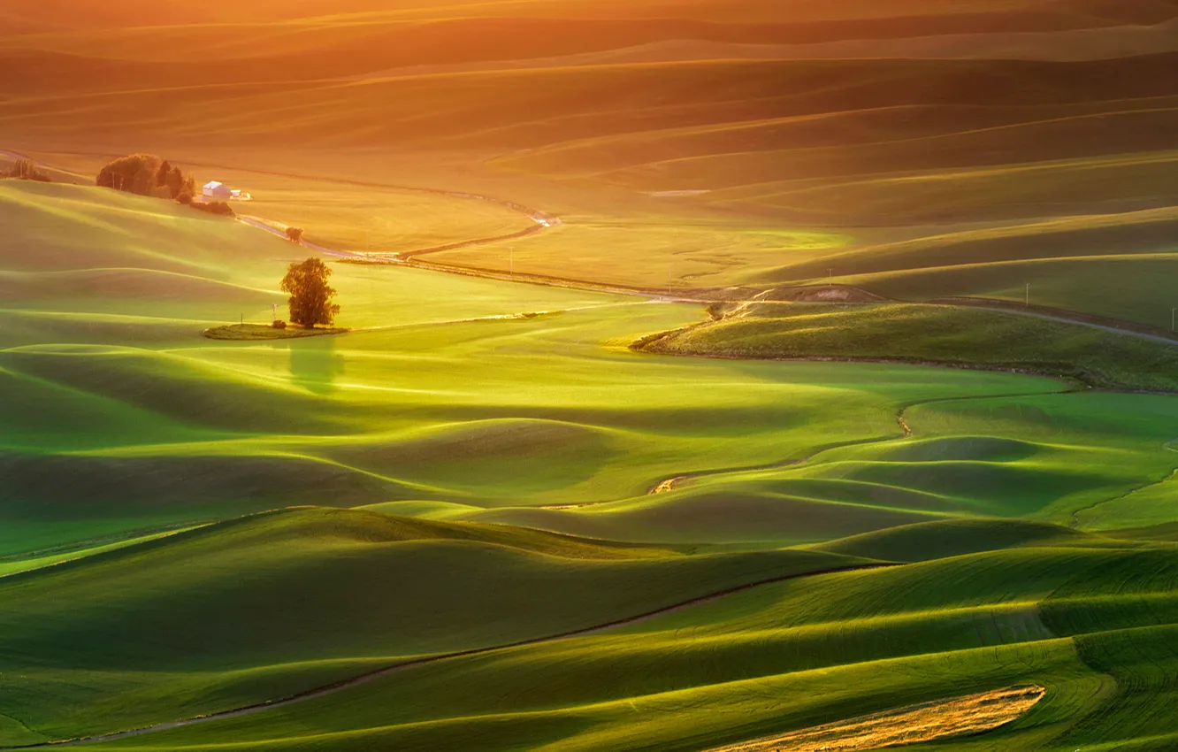 Photo wallpaper field, grass, trees, sunset, hills, home