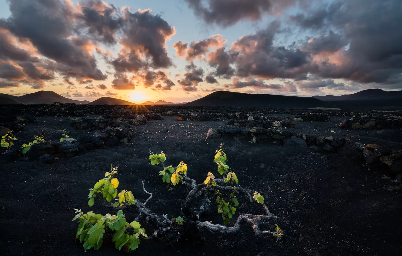 Photo wallpaper Spain, Canary Islands, Lanzarote, The Morro de Uga