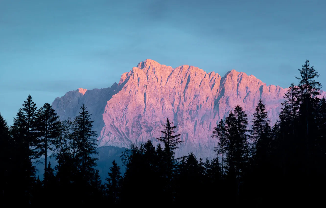 Photo wallpaper forest, the sky, trees, landscape, mountains, nature, fog, dawn