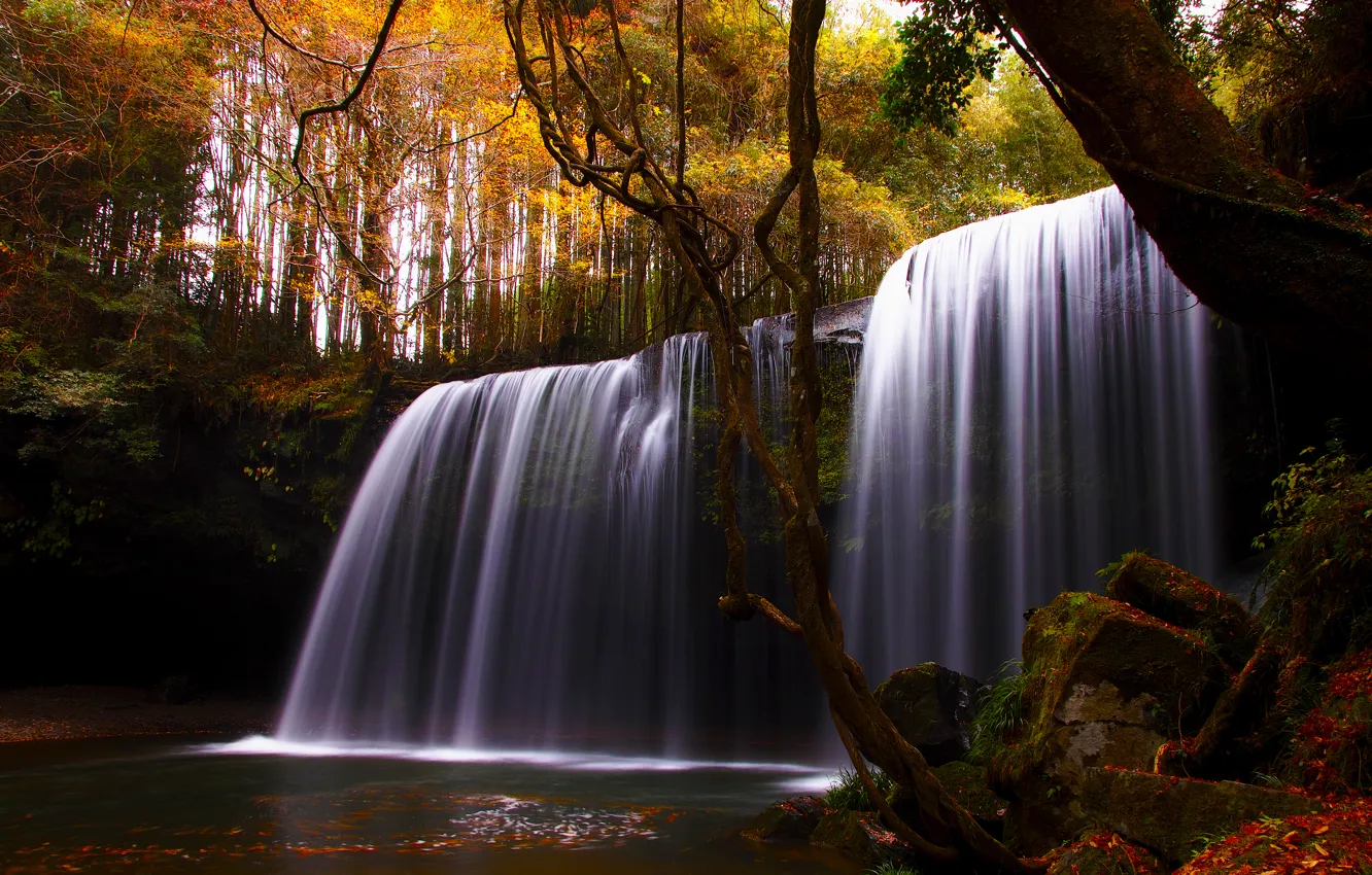Photo wallpaper autumn, trees, nature, river, waterfall