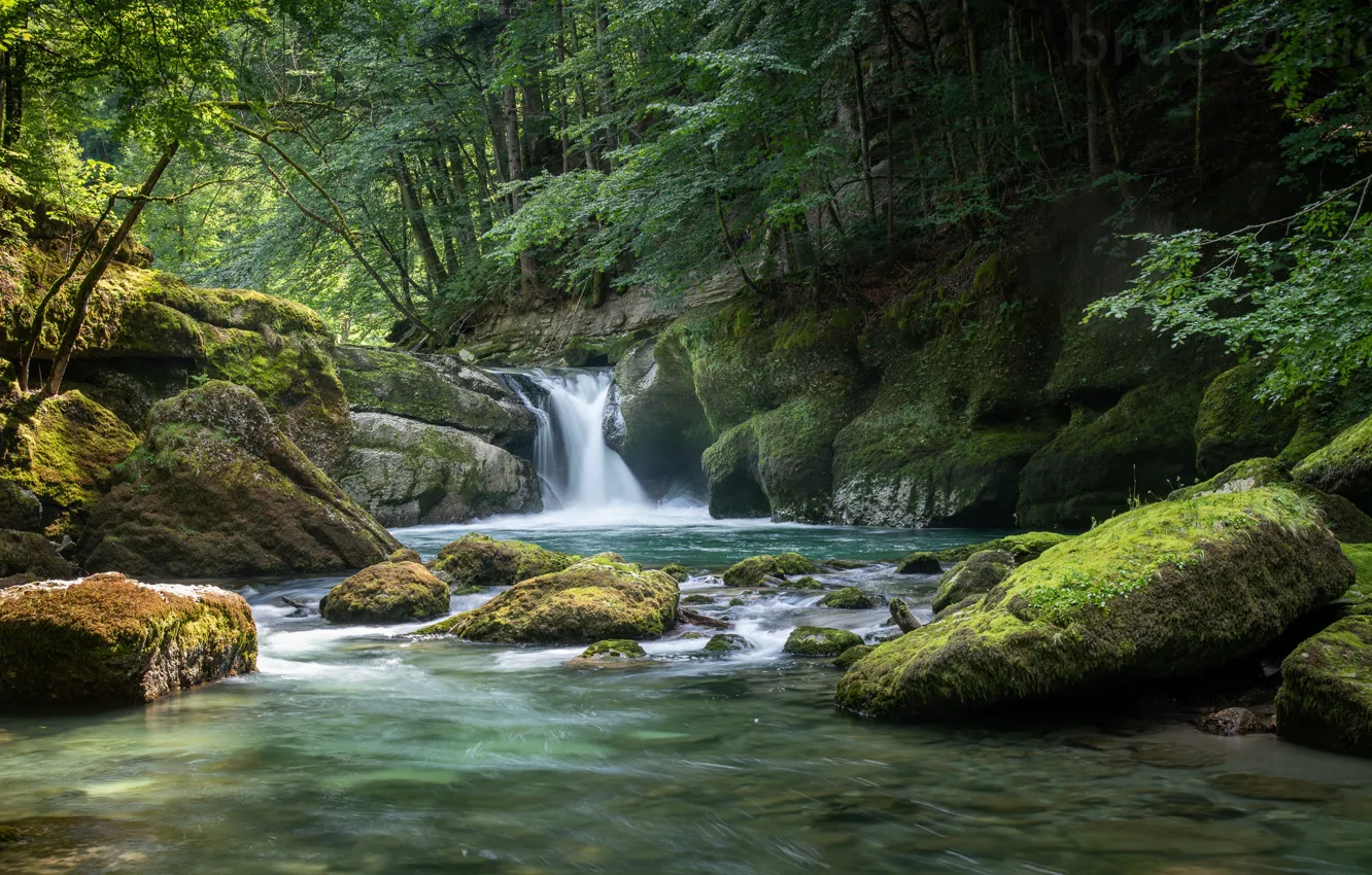 Photo wallpaper forest, river, stones, waterfall, moss, Switzerland, Switzerland, St. Gallen
