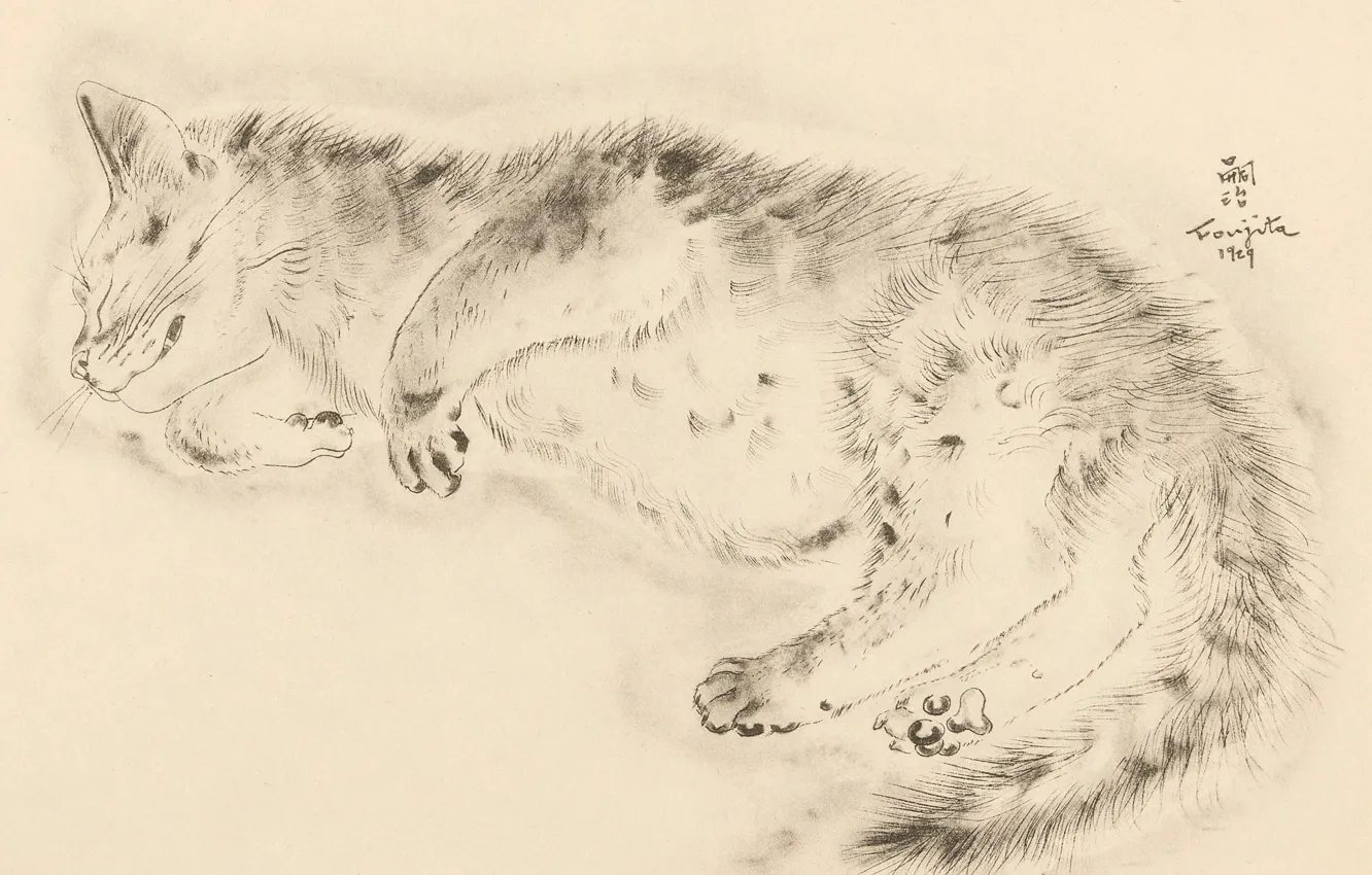 Photo wallpaper cat, sleeping, lies, Fang, 1929, ulybaetsya, suguharu Foujita