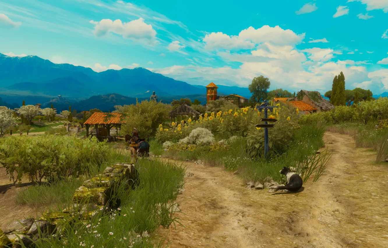 Photo wallpaper beauty, the Witcher, The Witcher 3: Wild Hunt, Toussaint