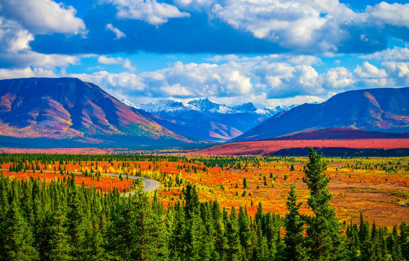 Photo wallpaper road, field, forest, the sky, the sun, clouds, trees, mountains